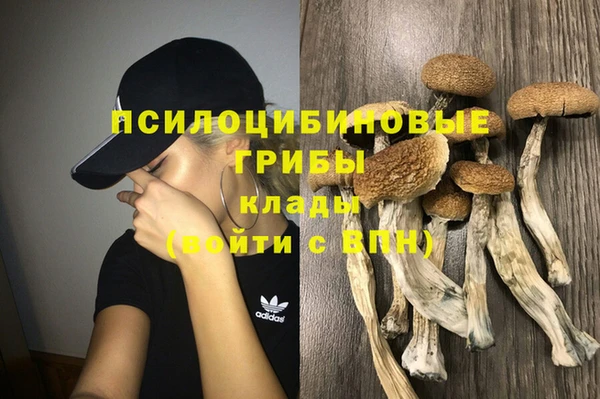 соль курить ск Алексеевка
