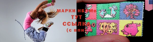 стафф Алзамай