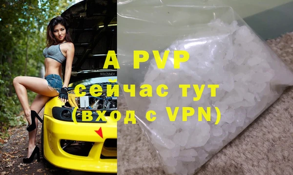 стафф Алзамай