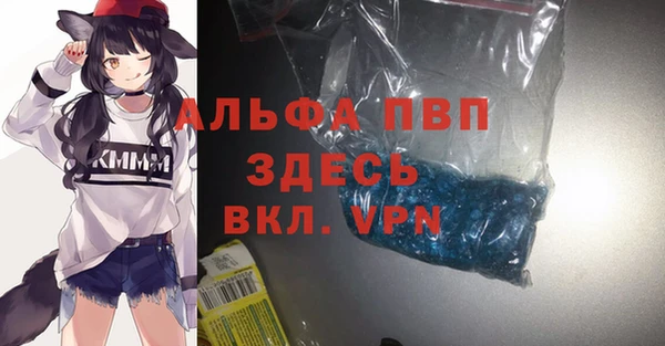 стафф Алзамай