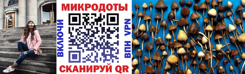 Псилоцибиновые грибы Cubensis Чистополь